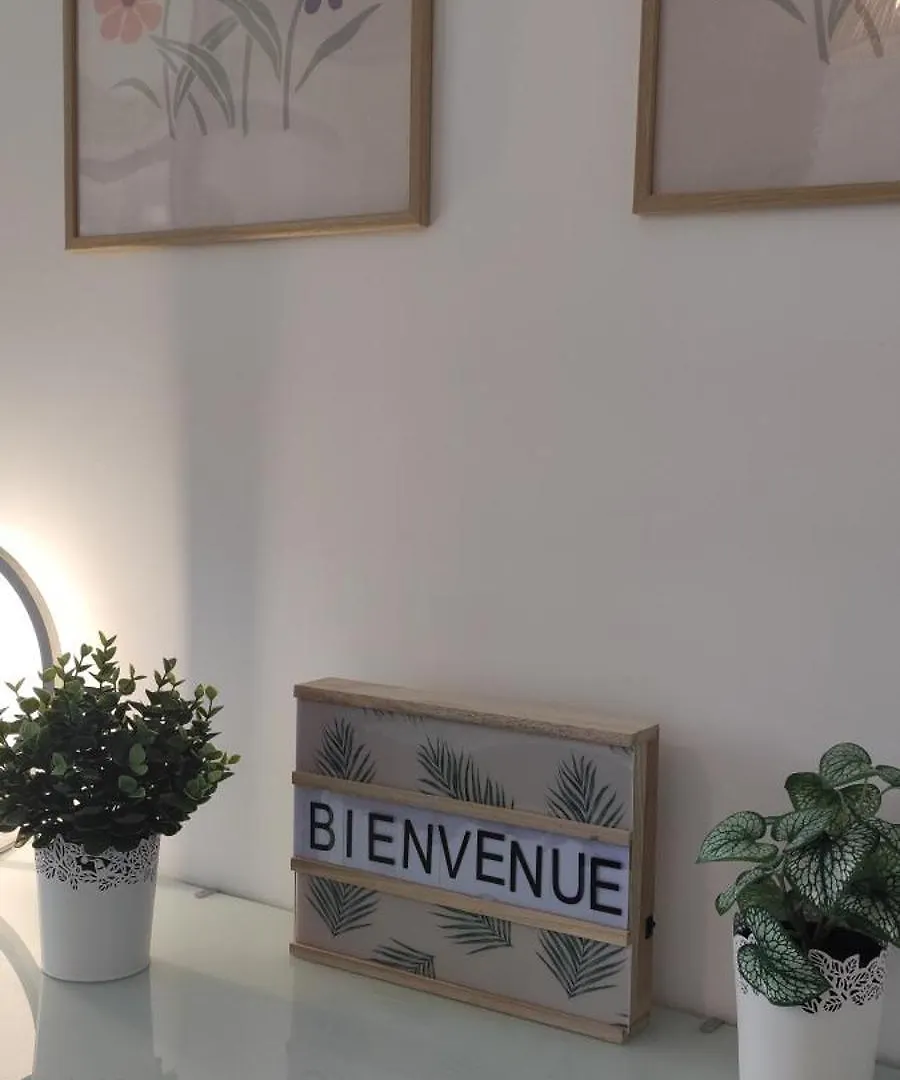 Appartement Neuf A 100 M De La Plage - New 100M From Beach Frejus Apartment